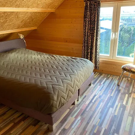 The Blue House Roelofarendsveen